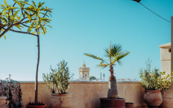 Resurface - single-occupancy